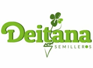 Logo cliente 9